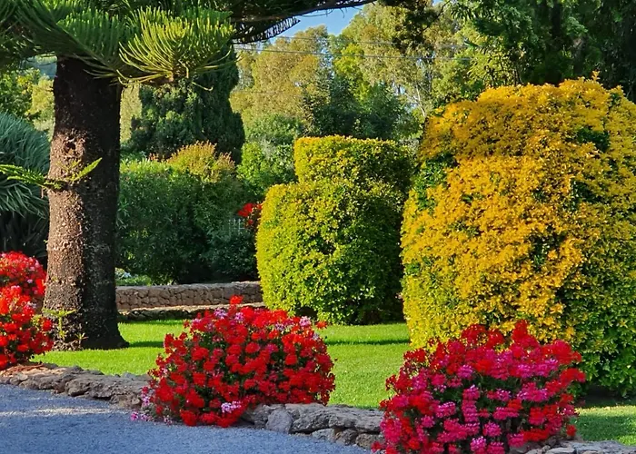 Affittacamere Arenosu Comfort Country 4*