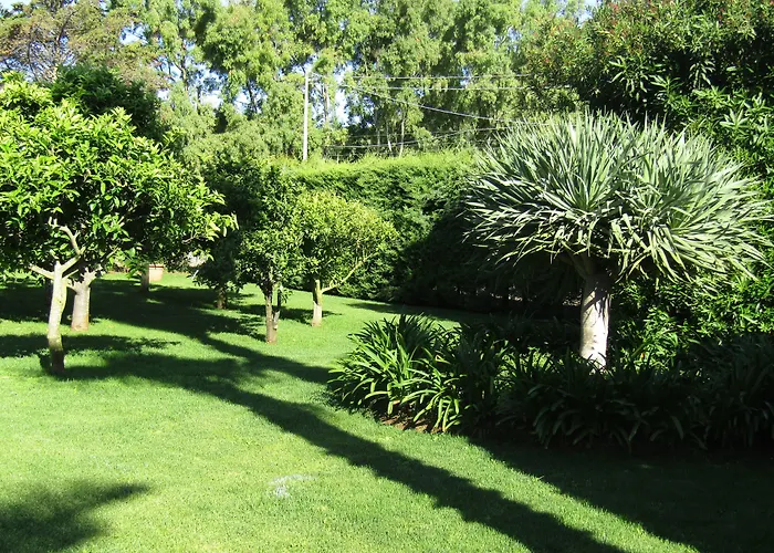 Arenosu Comfort Country 4*