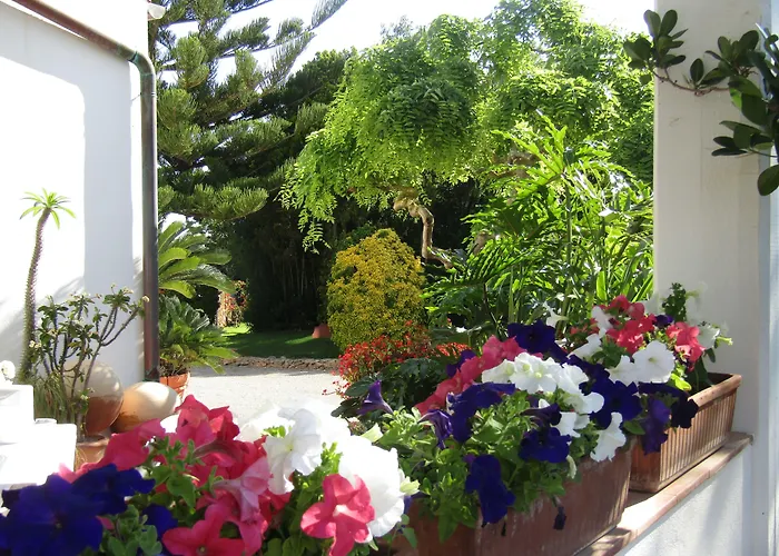 Arenosu Comfort Country Fertilia