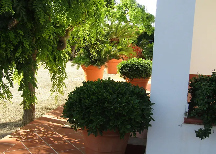 Arenosu Comfort Country Fertilia