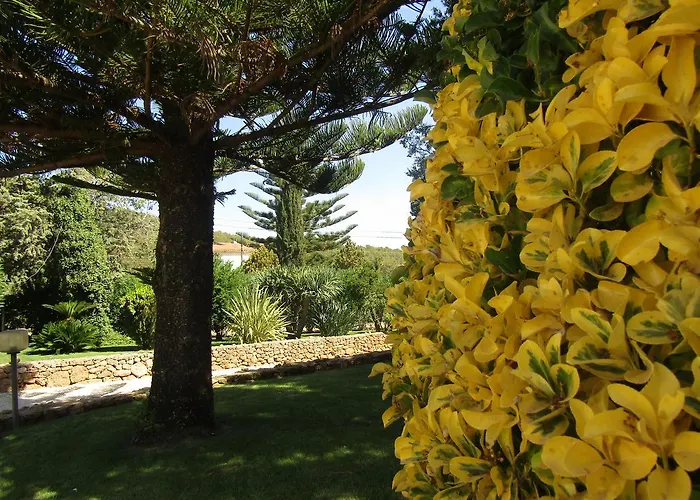 Arenosu Comfort Country 4* Fertilia
