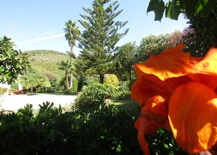 Arenosu Comfort Country 4* Fertilia