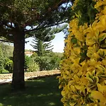 Arenosu Comfort Country 4* Фертилия