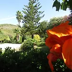 Arenosu Comfort Country 4* Фертилия