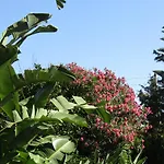 Гостевой дом Arenosu Comfort Country 4*
