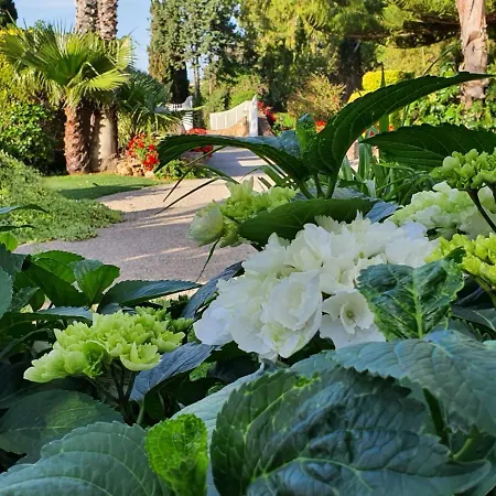 Arenosu Comfort Country 4*