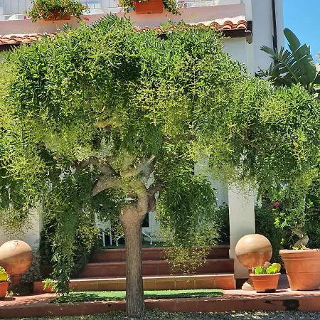 Guest house Arenosu Comfort Country