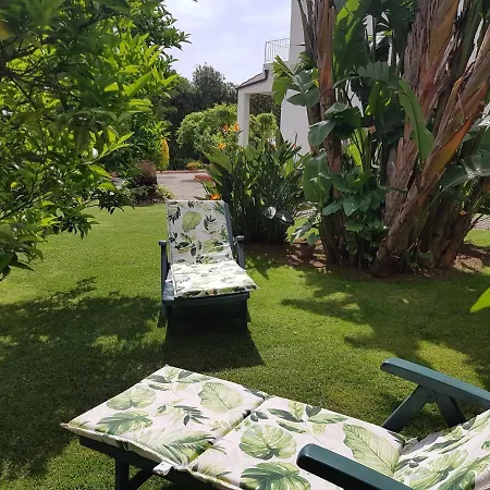 Arenosu Comfort Country Guest house Fertilia