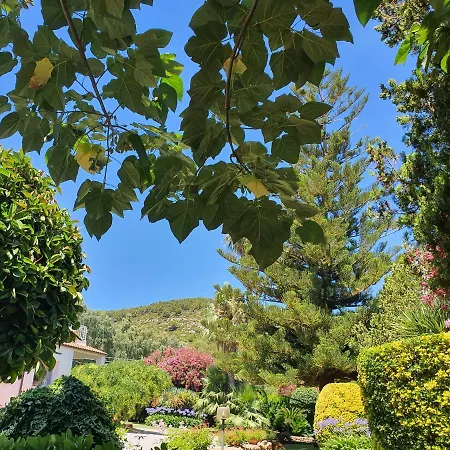 Guest house Arenosu Comfort Country