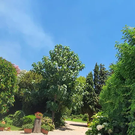 Guest house Arenosu Comfort Country Fertilia