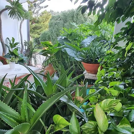 Arenosu Comfort Country Guest house 2*