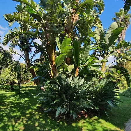 Guest house Arenosu Comfort Country Fertilia