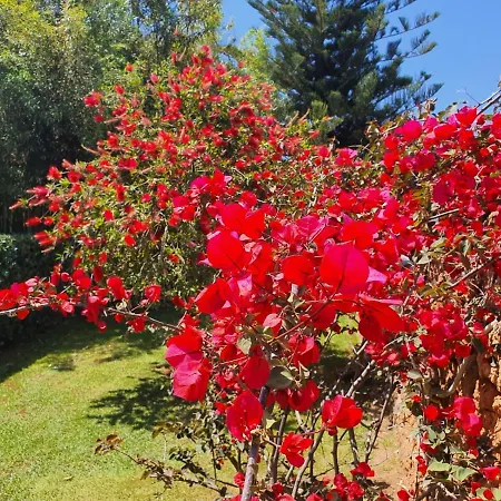 Guest house Arenosu Comfort Country