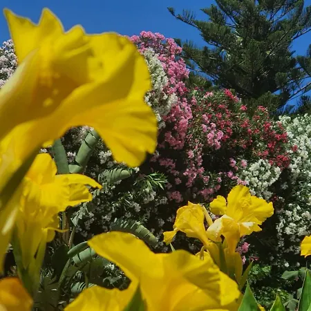 Guest house Arenosu Comfort Country Fertilia