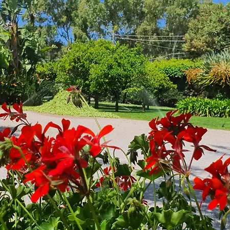 Guest house Arenosu Comfort Country Fertilia