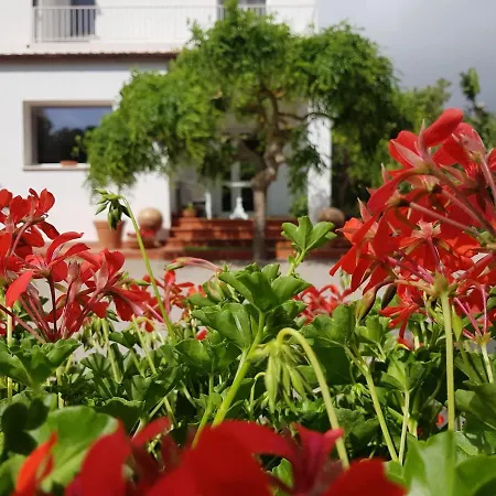 Arenosu Comfort Country