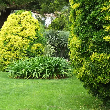 Arenosu Comfort Country Gasthof Fertilia