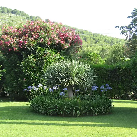 Arenosu Comfort Country 4*