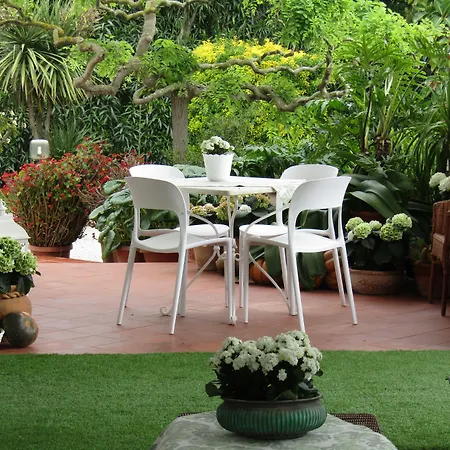 Arenosu Comfort Country 4* Fertilia