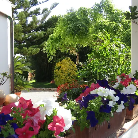 Arenosu Comfort Country Fertilia