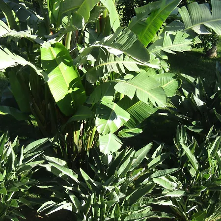 Arenosu Comfort Country Fertilia