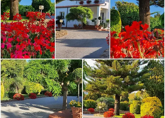 Arenosu Comfort Country 4* فيرتيليا