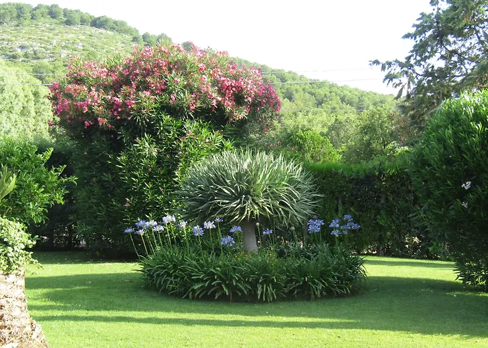 Arenosu Comfort Country 4*