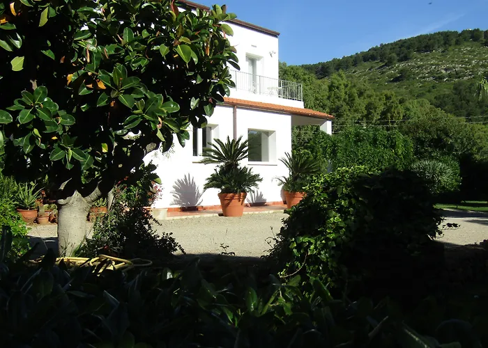 Arenosu Comfort Country 4* فيرتيليا